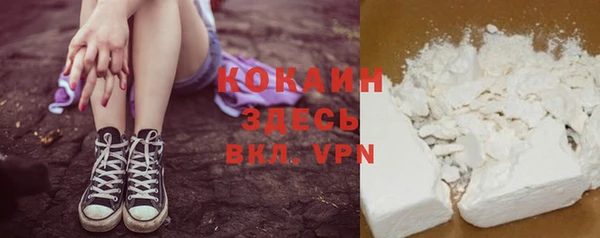 spice Бородино