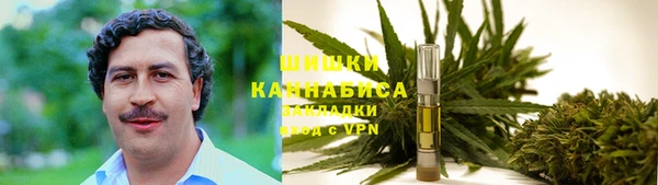spice Бородино