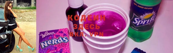 spice Бородино