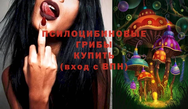 spice Бородино