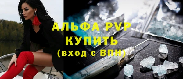 spice Бородино
